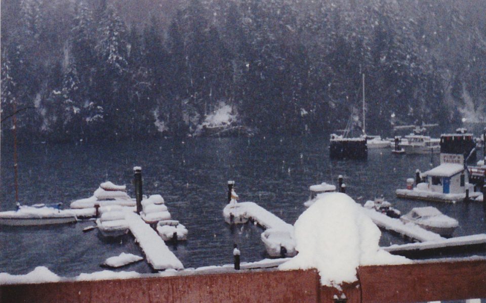 Old marina covered in snow