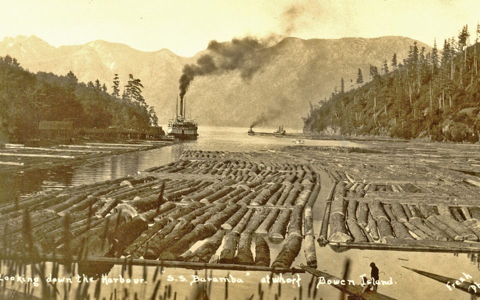 Black and white photo of cove with logs in the water and a steamship in the background